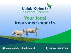 Caleb Roberts Insurance Services Limited Logo